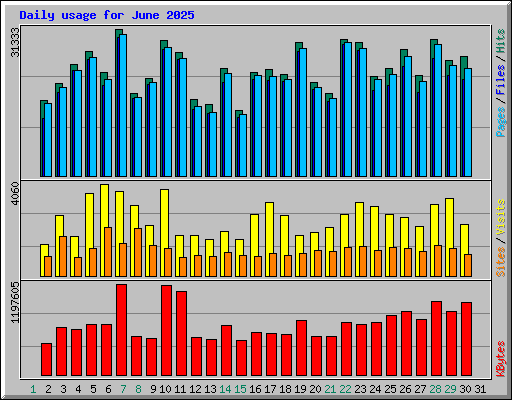 Daily usage for June 2025