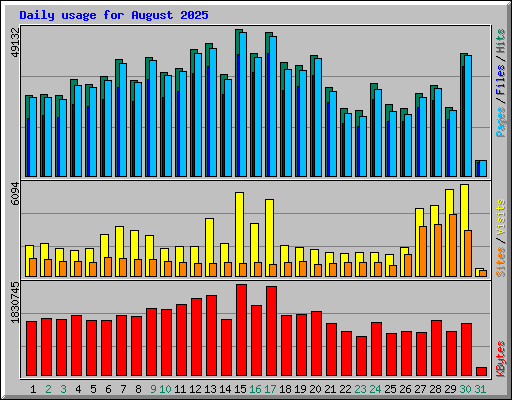 Daily usage for August 2025