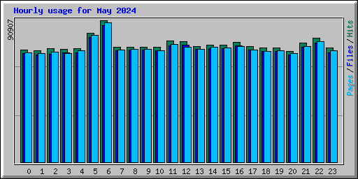 Hourly usage for May 2024