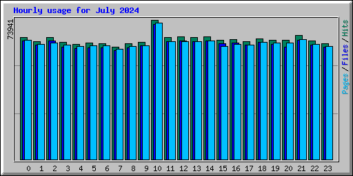 Hourly usage for July 2024