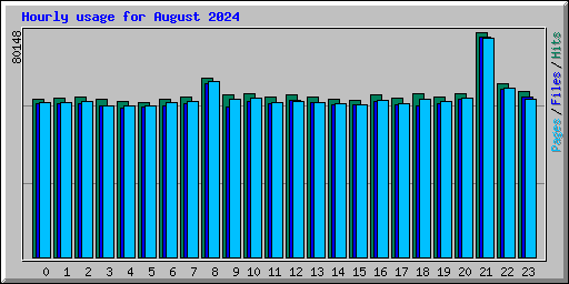 Hourly usage for August 2024