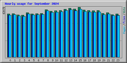 Hourly usage for September 2024