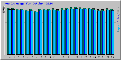 Hourly usage for October 2024