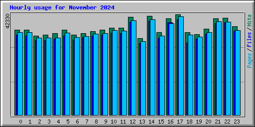 Hourly usage for November 2024