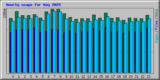 Hourly usage for May 2025