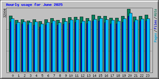 Hourly usage for June 2025