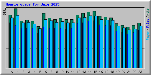 Hourly usage for July 2025