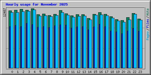 Hourly usage for November 2025