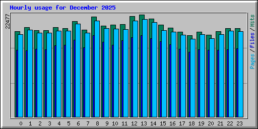 Hourly usage for December 2025